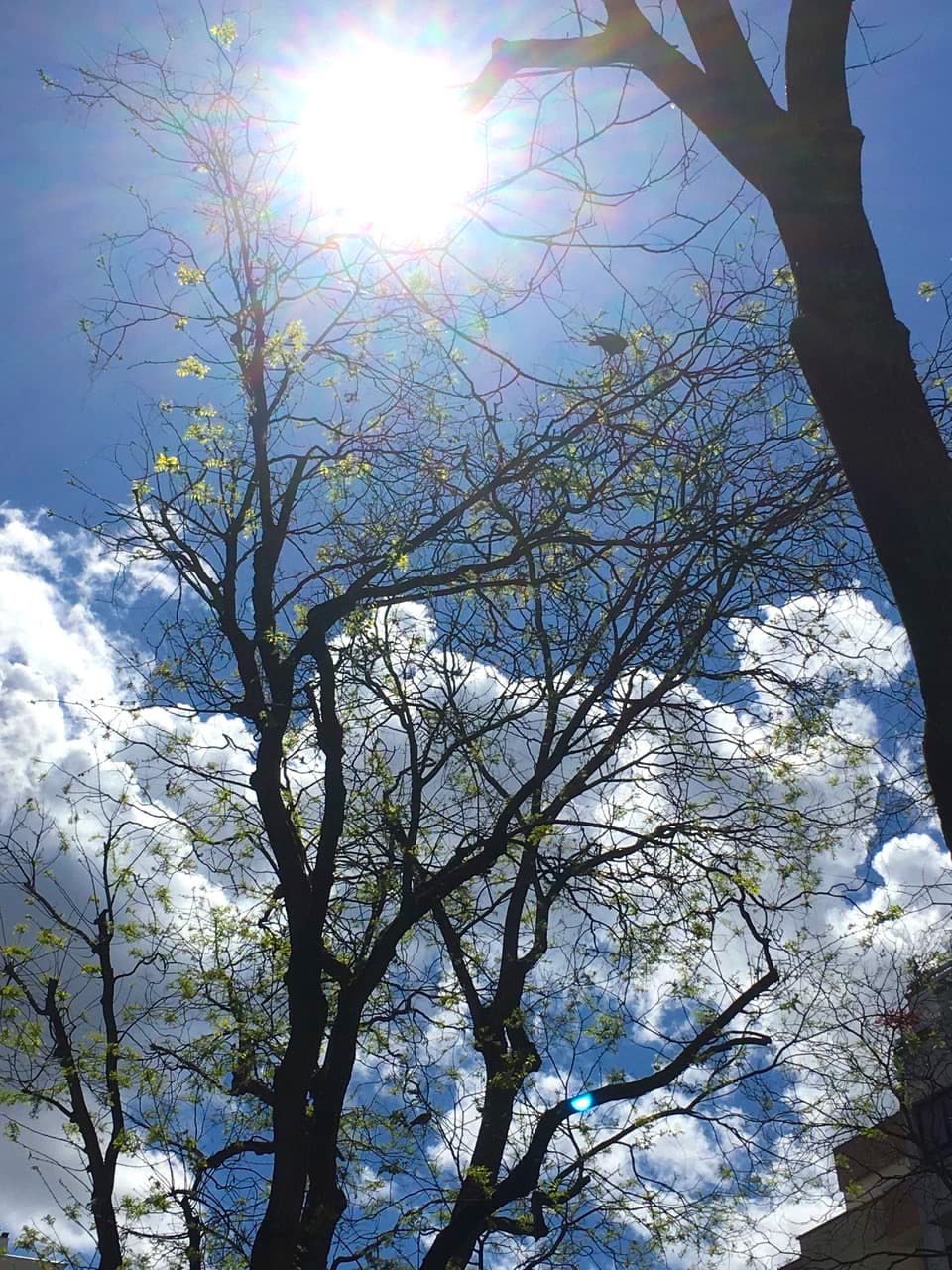 2020年4月18日（32日目）　 気持ちのやり場のない時、窮屈さを感じた時、 空に想像を描いてみる