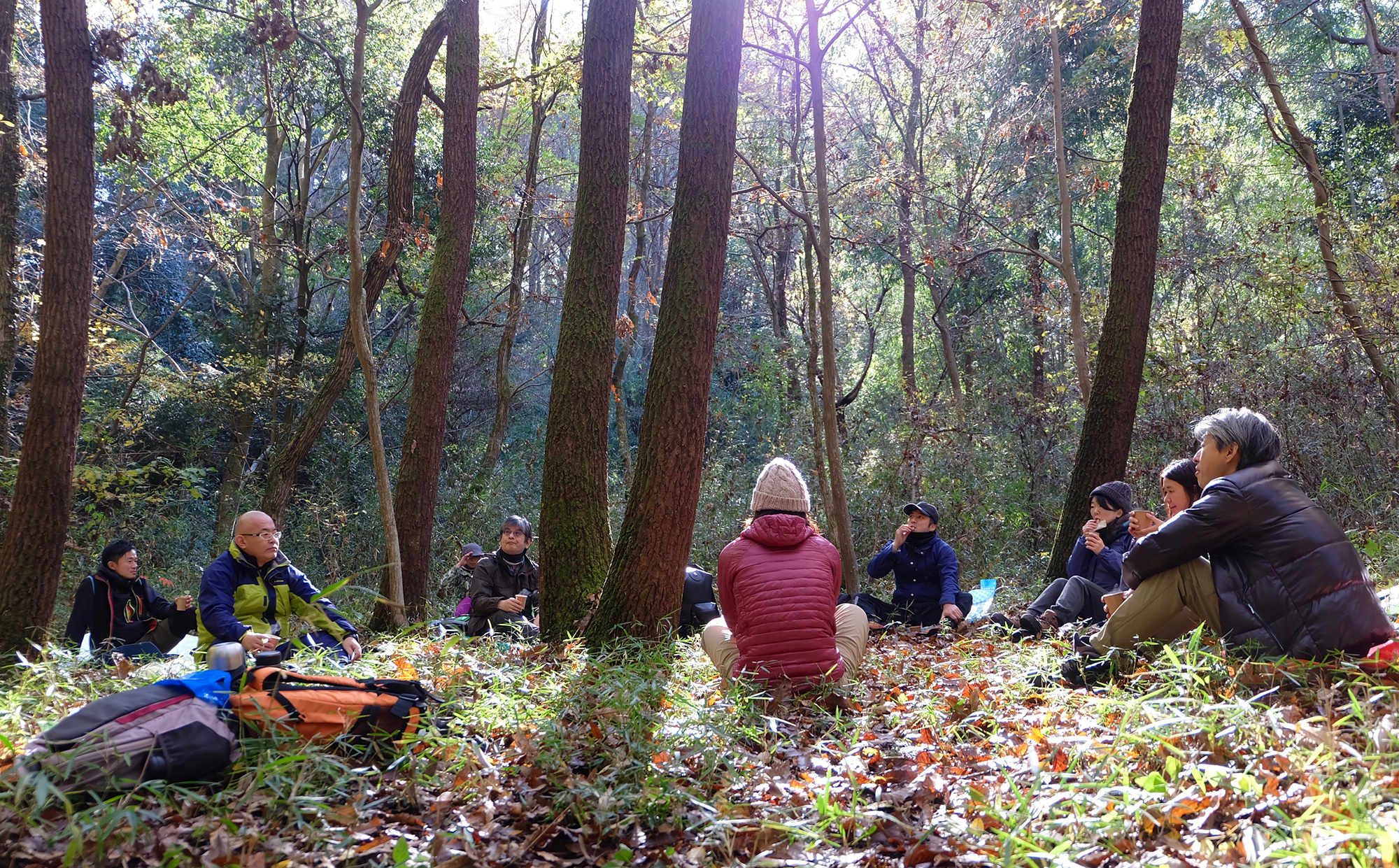 心をひらく森林浴 森に癒され、森に学ぶ | アマナとひらく「自然・科学