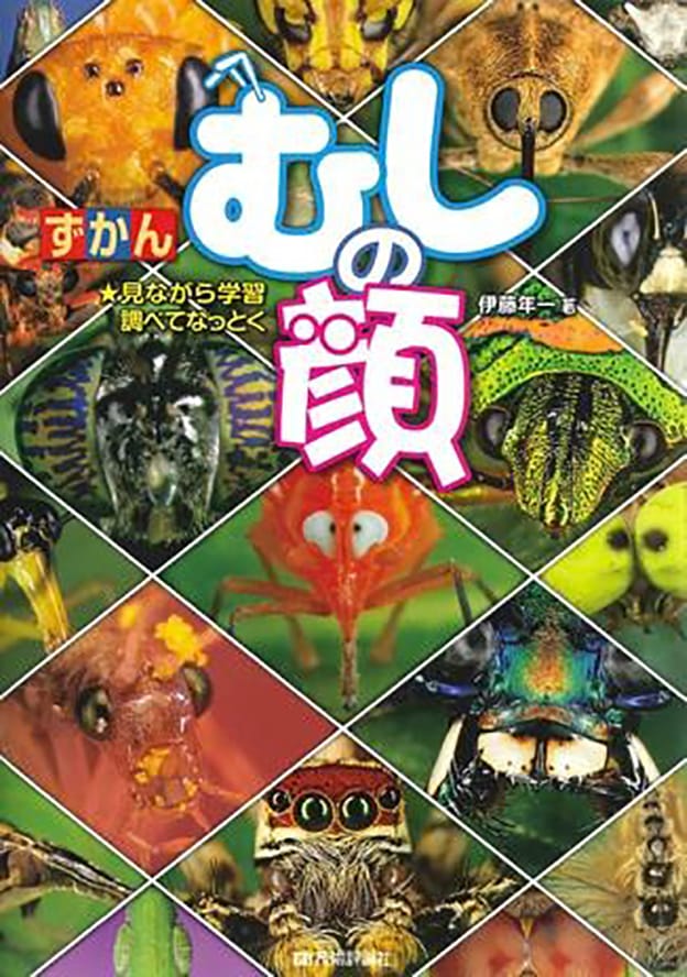 ずかん むしの顔