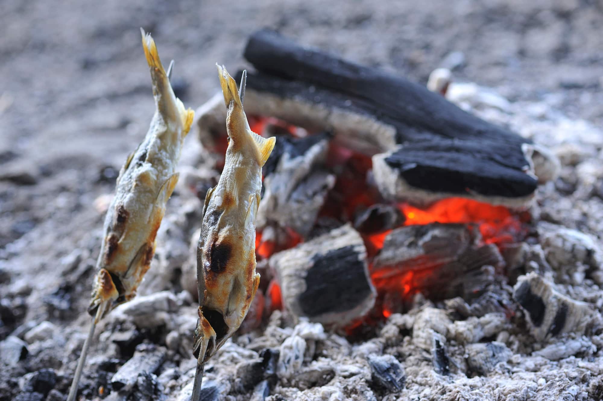 鮎の塩焼き。鮎は私たちの食文化も彩ってくれる。鮎が暮らせる環境は限定されており、水質や河川環境などの影響を敏感に受ける。かつてはあちこちの河川にあふれていた鮎も今は限られた場所でしかその姿を見ることができない。私たちの豊かな「鮎文化」は自然の恩恵そのもの ©arc image gallery /amanaimages