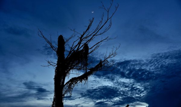 「顔」認証と「影」認証