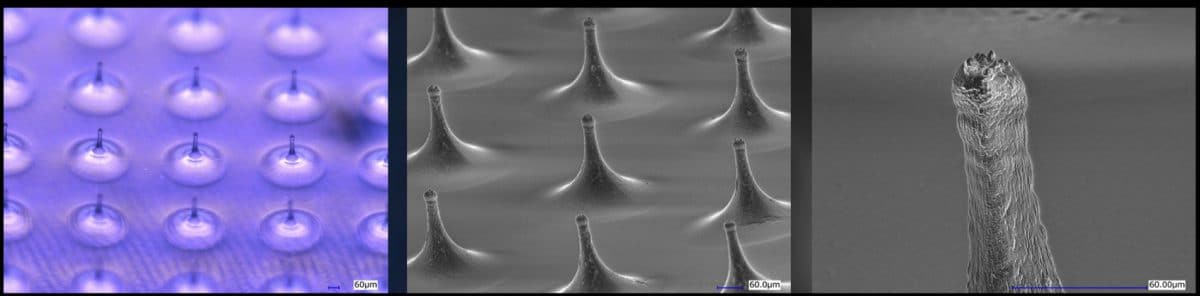 ヒアルロン酸の微細ニードル。肌を傷つけることなく効率的に有効成分を届ける。 均一にコントロールされたサイズや配置が機能している ©︎Hydroid