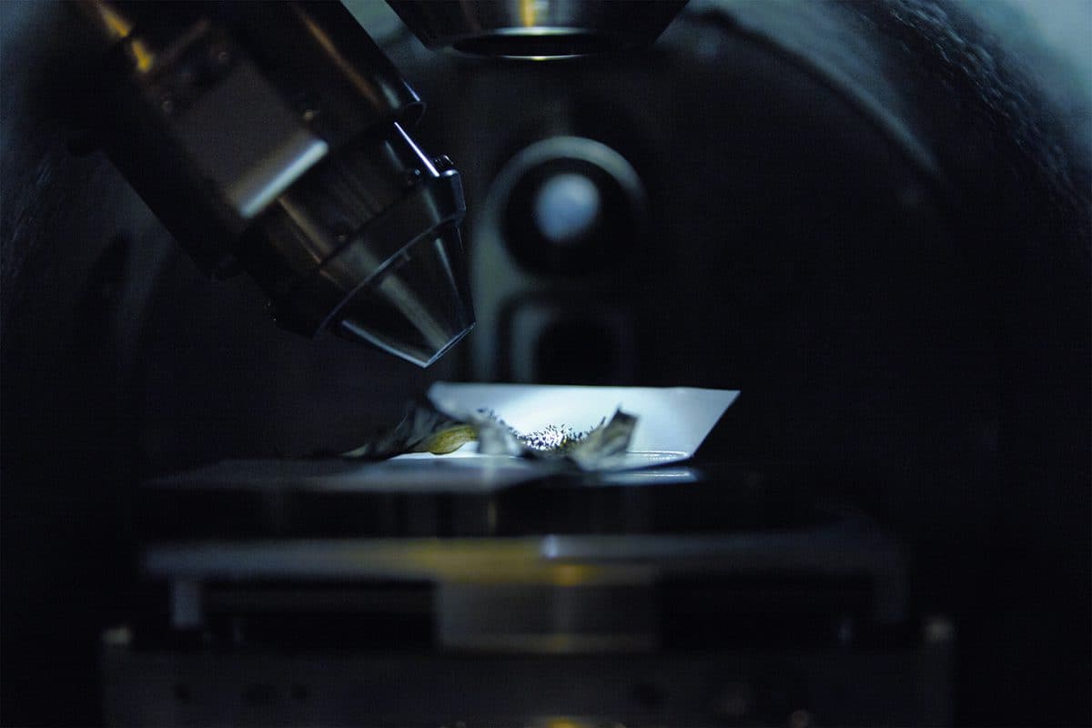 変形菌のジクホコリを電子顕微鏡にセット