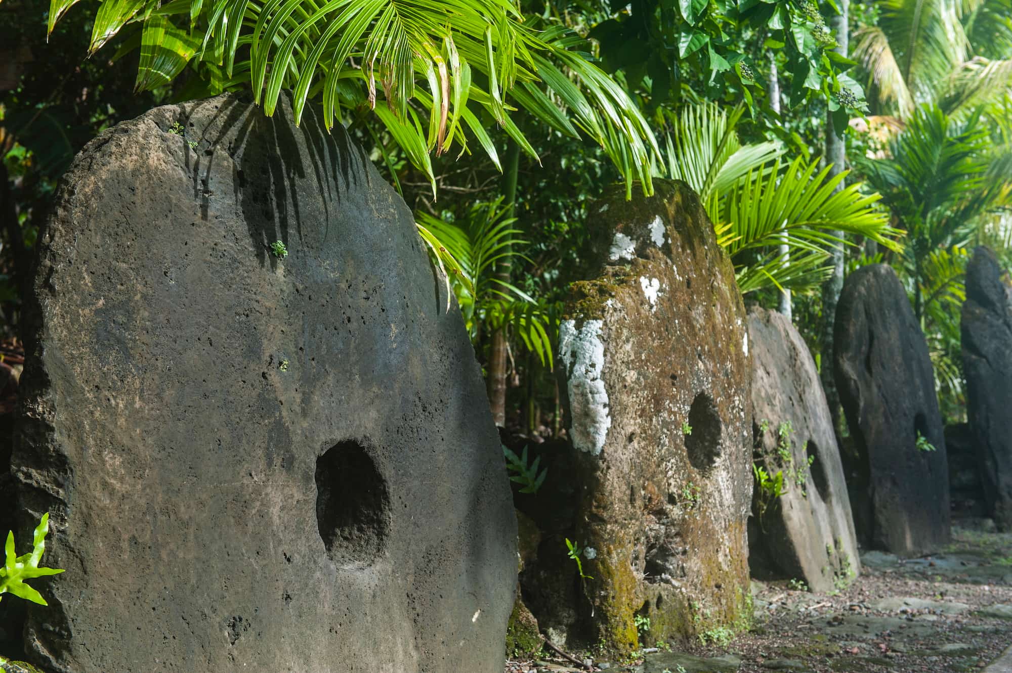 西太平洋ミクロネシア連邦のヤップ島に伝わる巨石の「貨幣」。直径は60cm〜4m弱、大きいもので重量5tに達する。所有者と譲られる者の話し合いで譲渡条件が決定。重すぎて動かせない場合、所有権のみが移転する。フェリックス・マーティン著『21世紀の貨幣論』、カビール・セガール著『貨幣の「新」世界史』でも高度なマネーシステムとして紹介。東京・日比谷公園内に、日本の委任統治領だった1925年にヤップ島から寄贈された石貨が屋外展示されている ©︎ Michael Runkel/robertharding /amanaimages