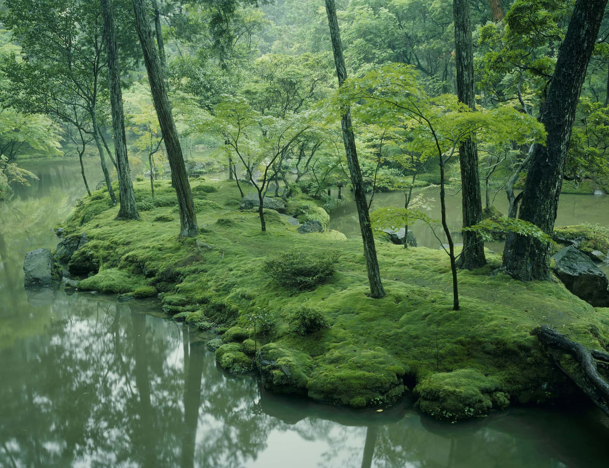 西芳寺（苔寺）　 © MASANOBU HIROSE/SEBUN PHOTO/amanaimages
