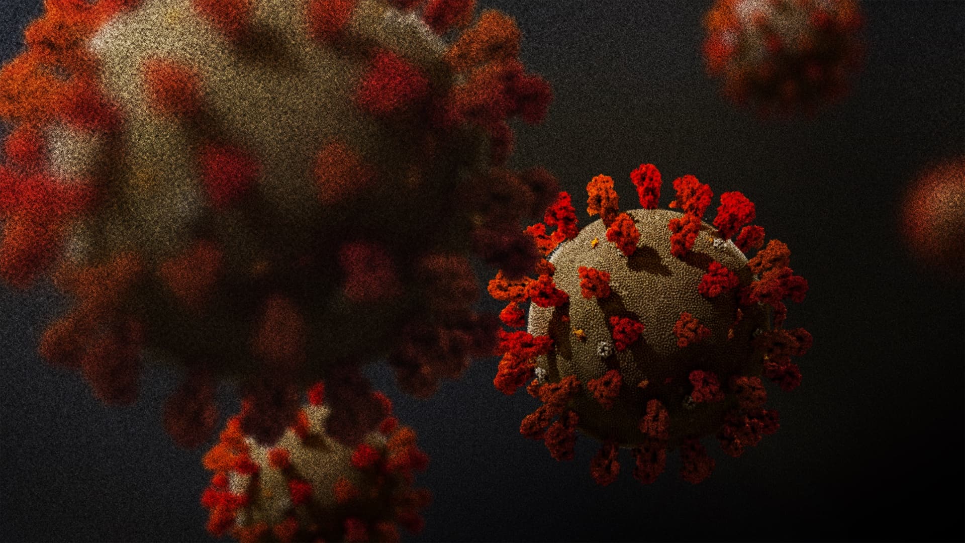 制作段階の「新型コロナウイルス（SARS-CoV-2）」3DCGモデル ©︎Hydroid