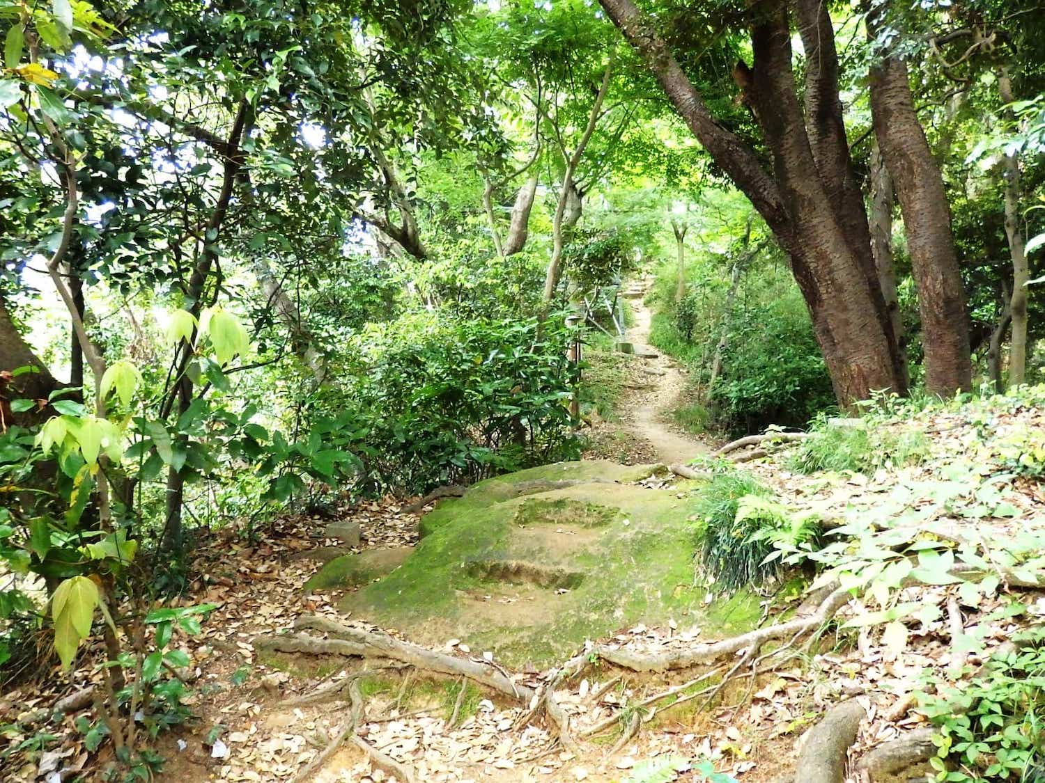散在ガ池森林公園の馬の背の小径。少し急な、明るい尾根道
