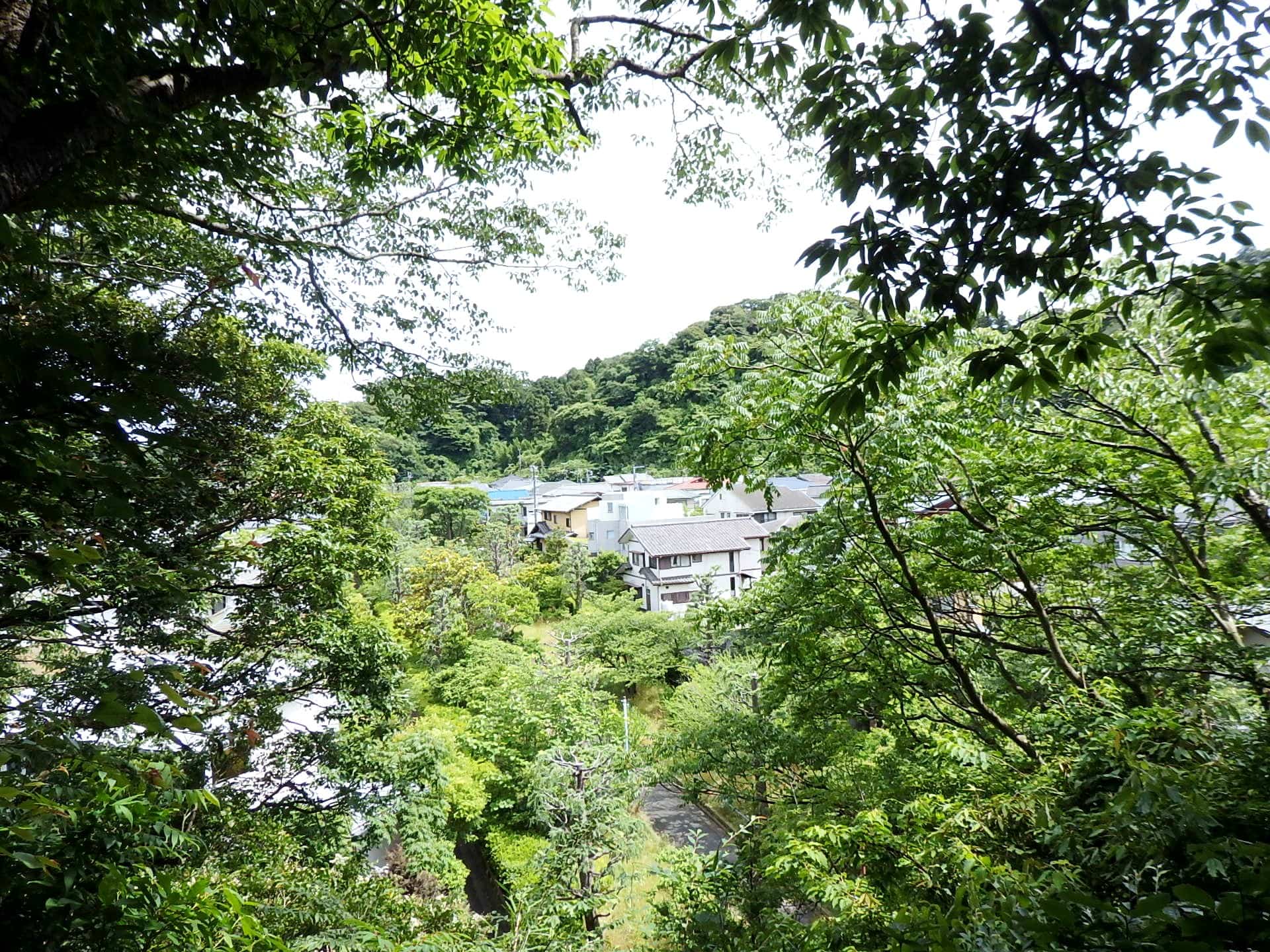 「今回のさんぽ道」は、おやすみです 写真：パノラマの小径からの眺め