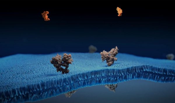 精確に、美しく ビジュアル化する技術