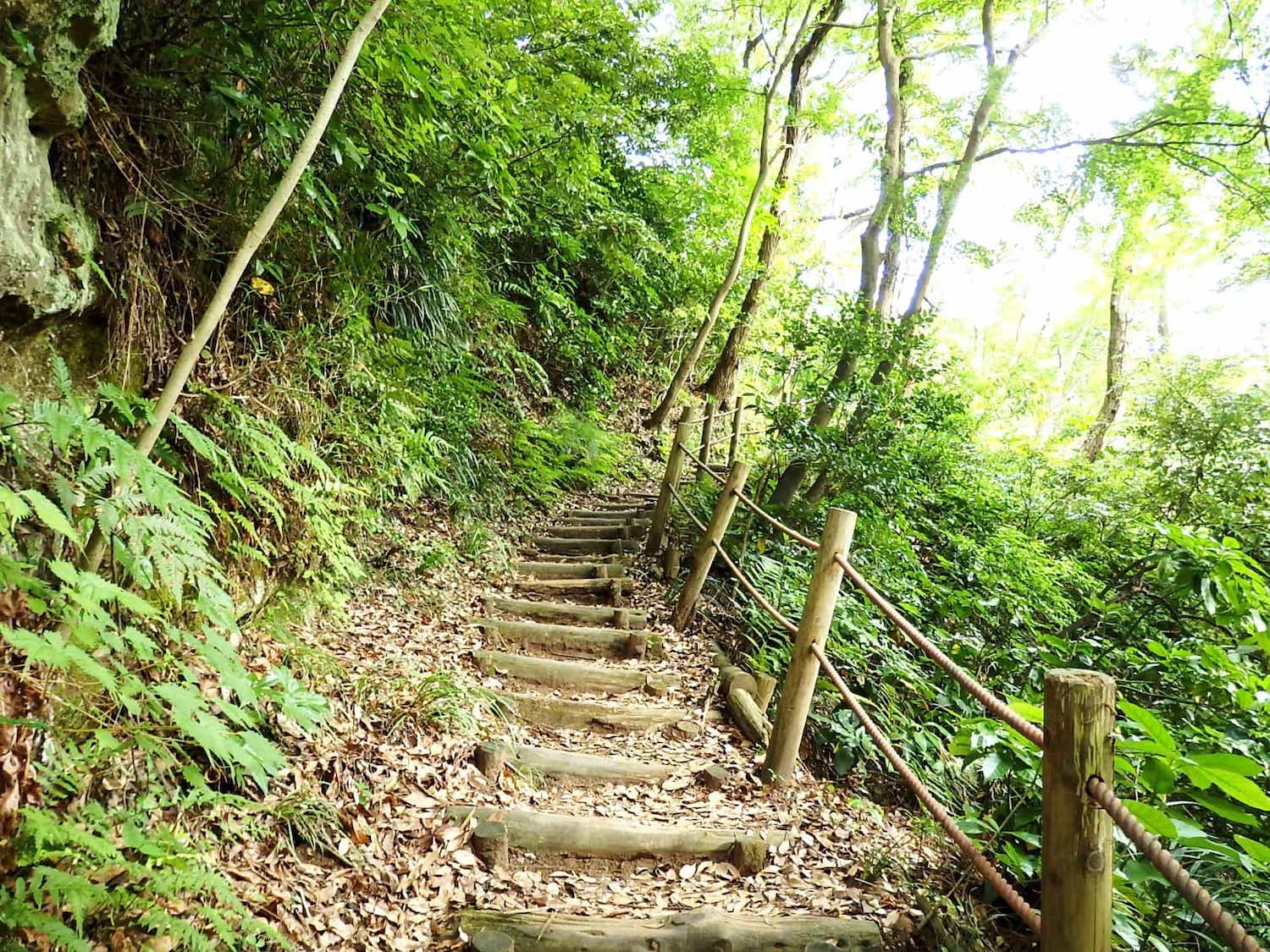 散在ガ池のほとりから、池の周りをめぐる山道「のんびり小径」