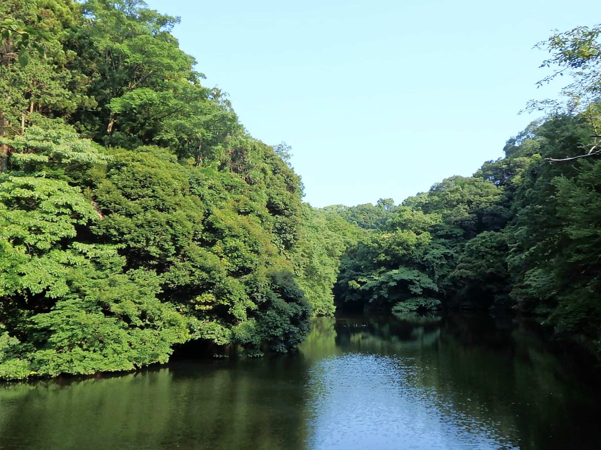 かつての田んぼの「ため池」跡、大ウナギの伝説が残る散在ガ池