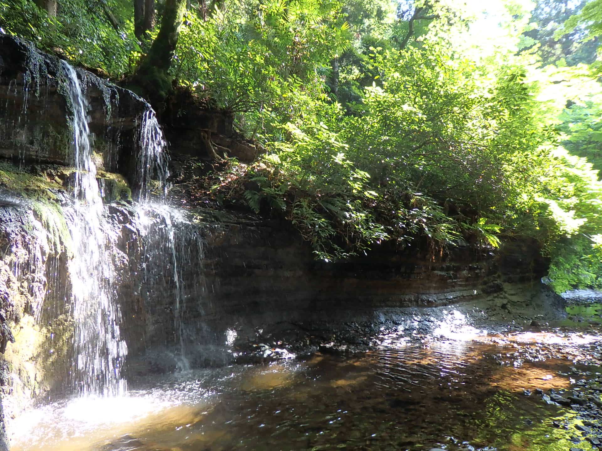 称名寺の不動の滝。弘法大師空海がこの地で祈ると水が湧いたと伝えられる。清流にはサワガニが見られることも