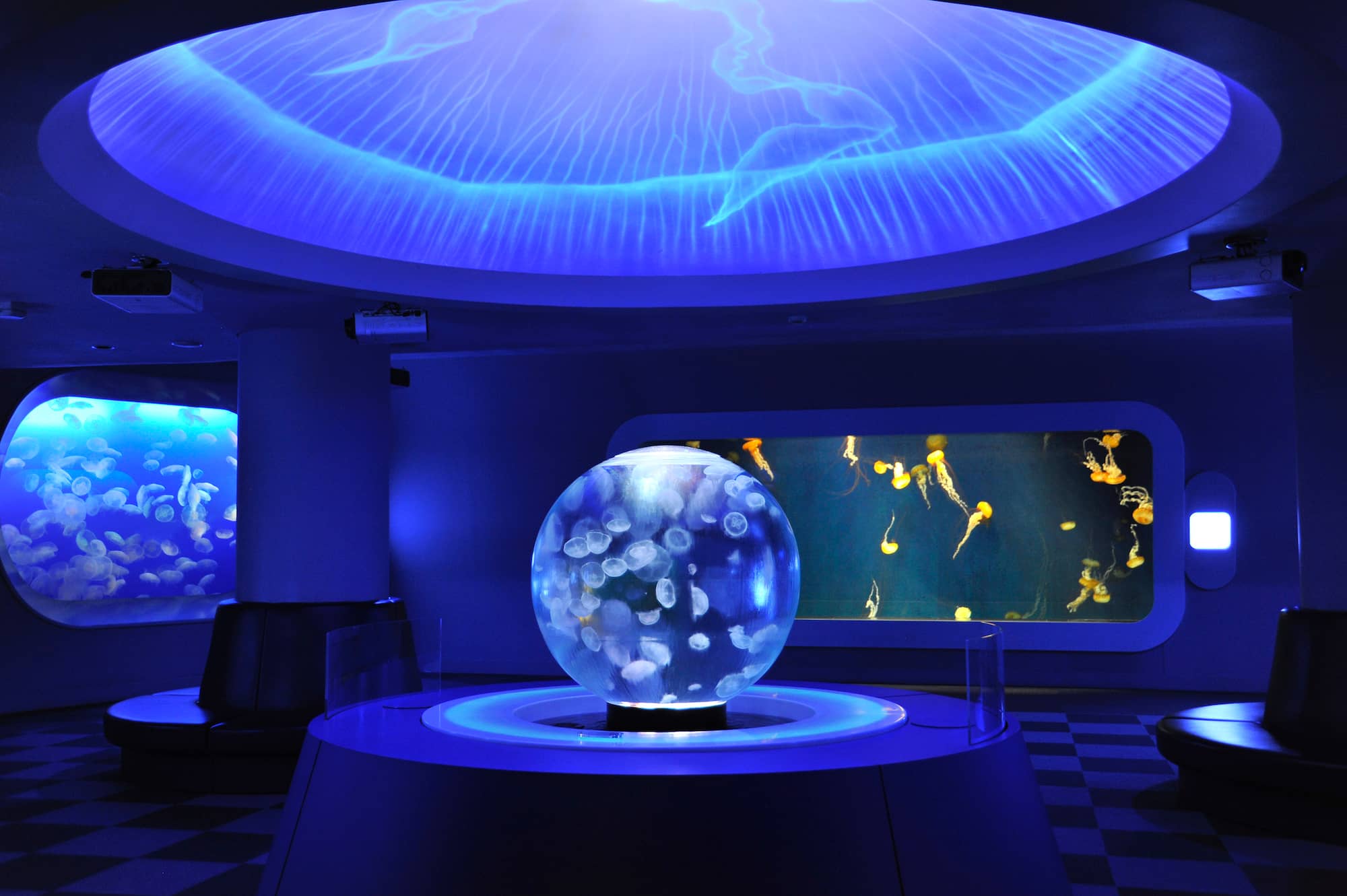 海の生き物の美しさ、神秘に癒しのひとときを過ごせる、新江ノ島水族館のクラゲファンタジーホール （提供：新江ノ島水族館）