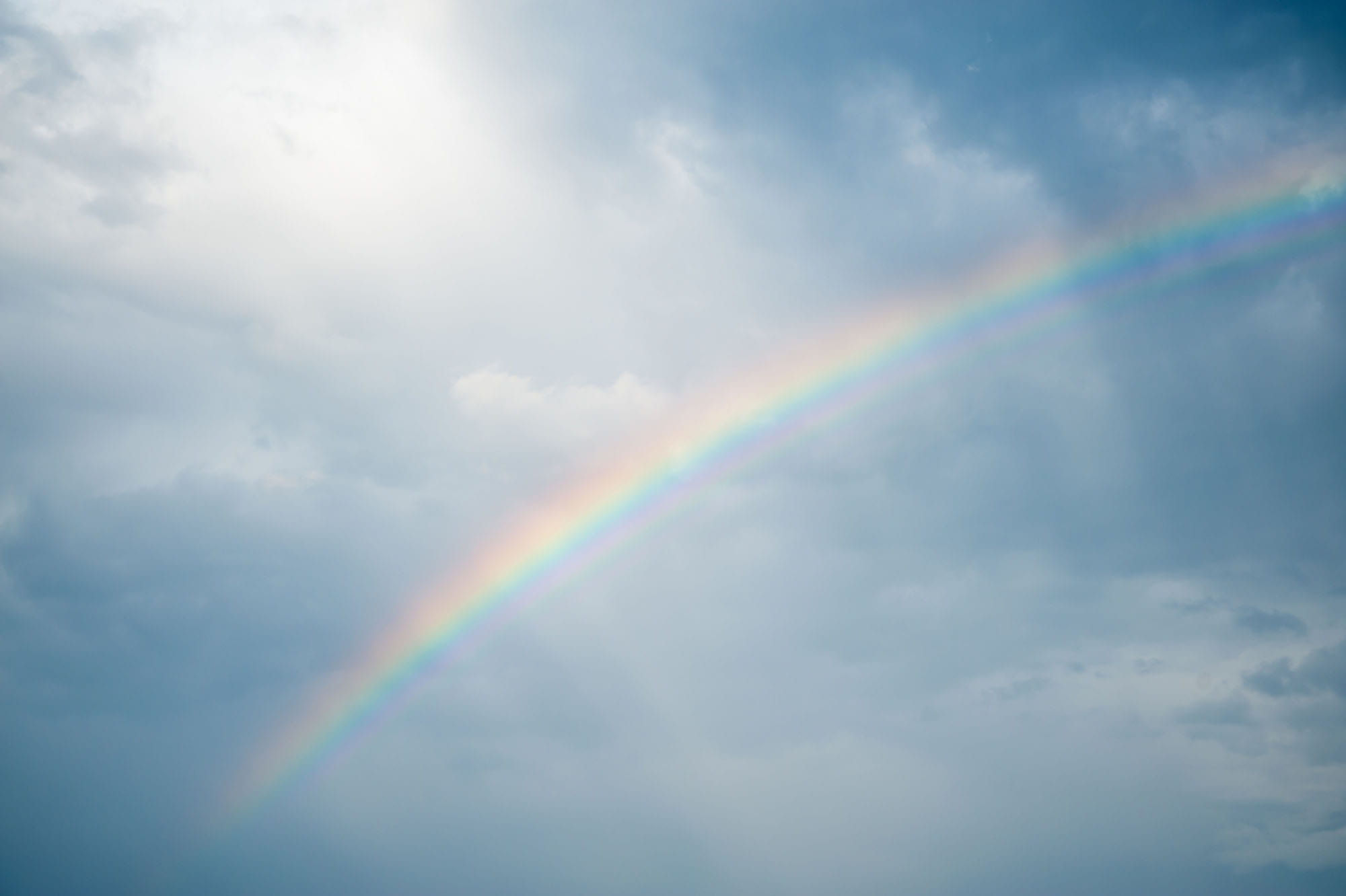 夏の雨をつぶやく アマナとひらく 自然 科学 のトビラ Nature Science 夏の雨をつぶやく アマナとひらく 自然 科学 のトビラ Nature Science