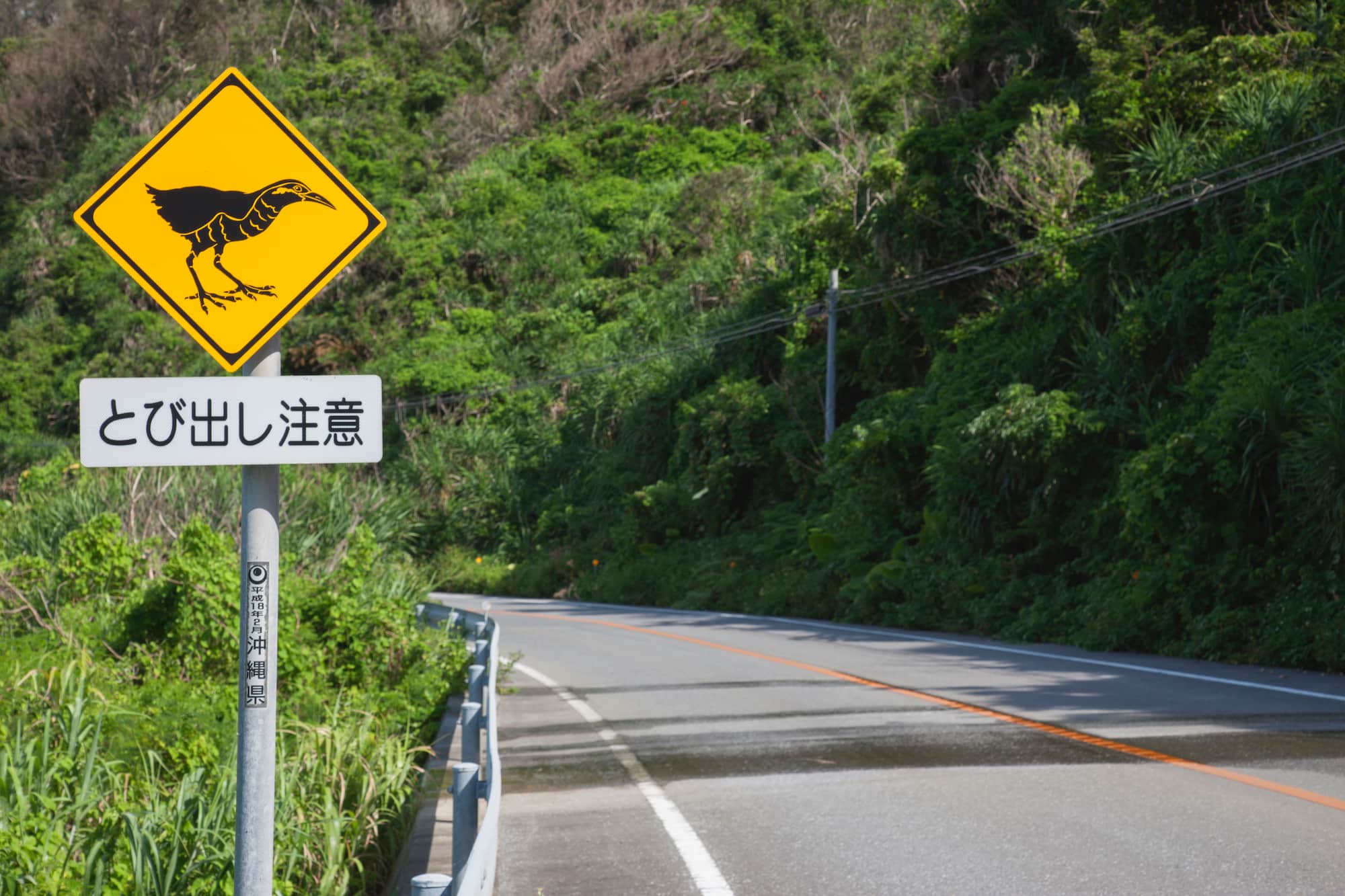 沖縄本島、県道70号沿いにあるヤンバルクイナのとび出し注意標識。交通事故によって毎年、30羽～40羽前後のヤンバルクイナが犠牲になっている © TAKAHIRO MIYAMOTO/SEBUN PHOTO /amanaimages