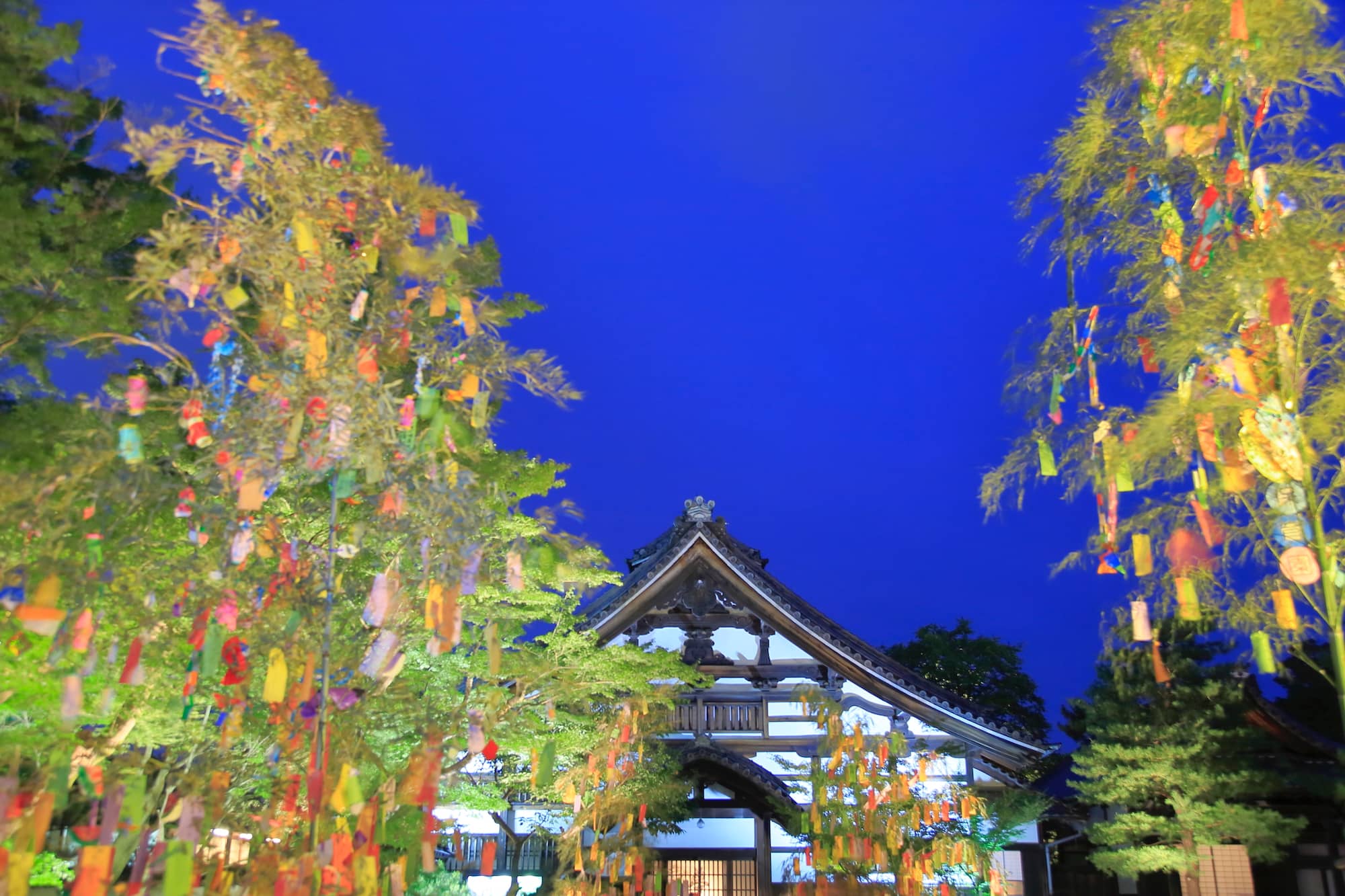 京都・高台寺の七夕会　願いごとが書かれた短冊や笹飾りを吊るした「七夕笹」が境内入口に並ぶ ©︎ HIDEAKI TANAKA/SEBUN PHOTO /amanaimages