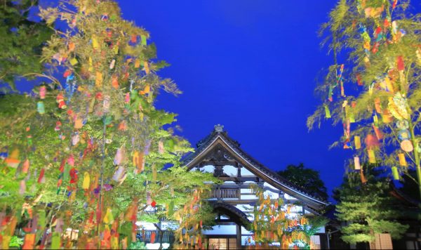 ササとタケ、 どこが違う？