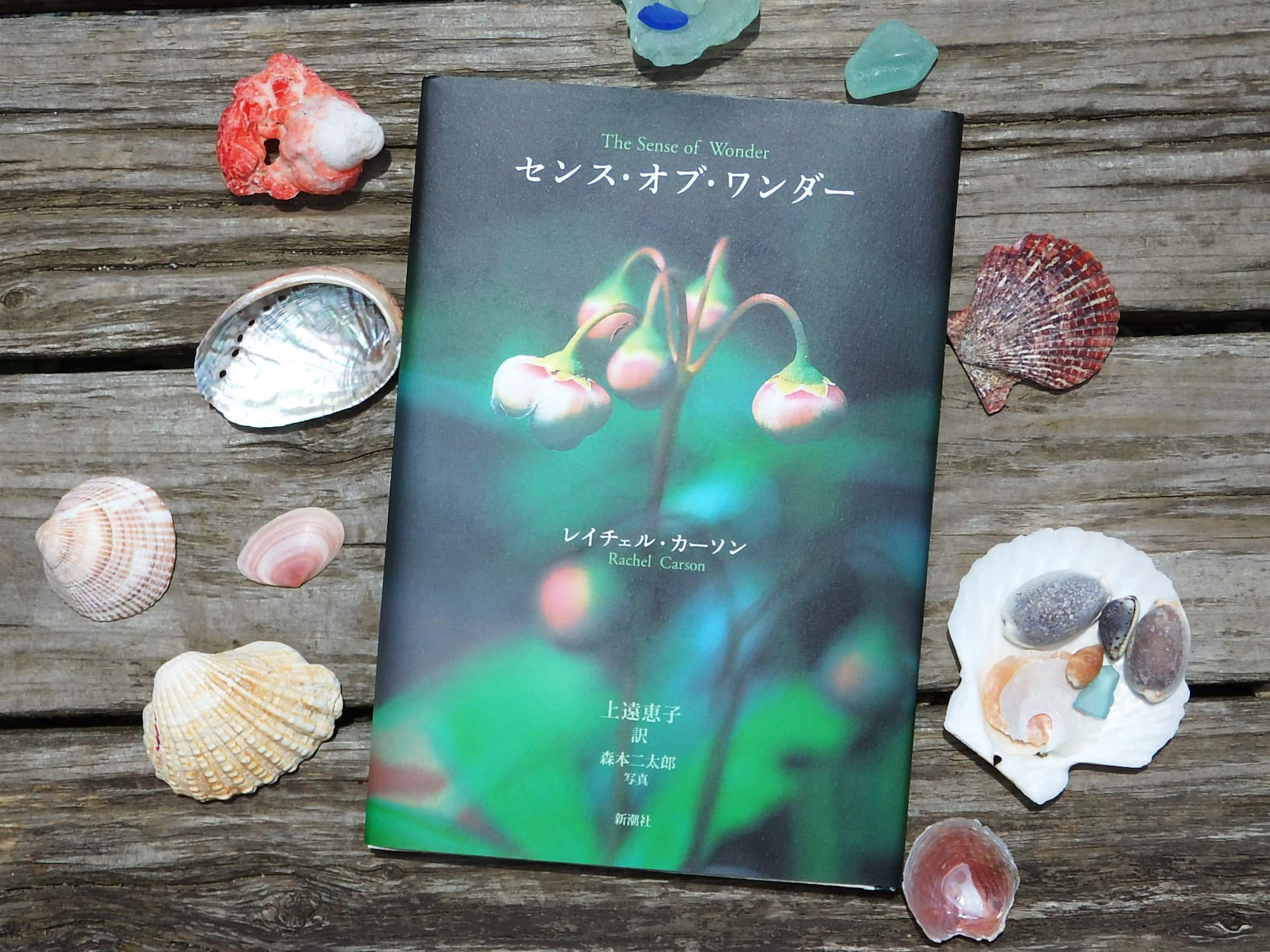 『センス・オブ・ワンダー』レイチェル・カーソン 著、上遠恵子 訳、森本二太郎 写真（新潮社） レイチェルは、海の三部作とされる『潮風の下で』『われらをめぐる海』『海辺』を出版し、いずれもベストセラーに。海の生きものたちの息吹、海の自然環境の楽しさ、神秘、荒々しさ、雄大さ……まるで海をそのまま言葉で写し取ったかのように、「センス・オブ・ワンダー」の感性で美しく叙情的に海を描いて、私たちに奥深く壮大な海の世界を見せてくれた
