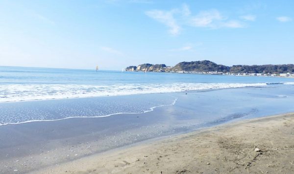 花と自然の鎌倉さんぽ「7月 文月」