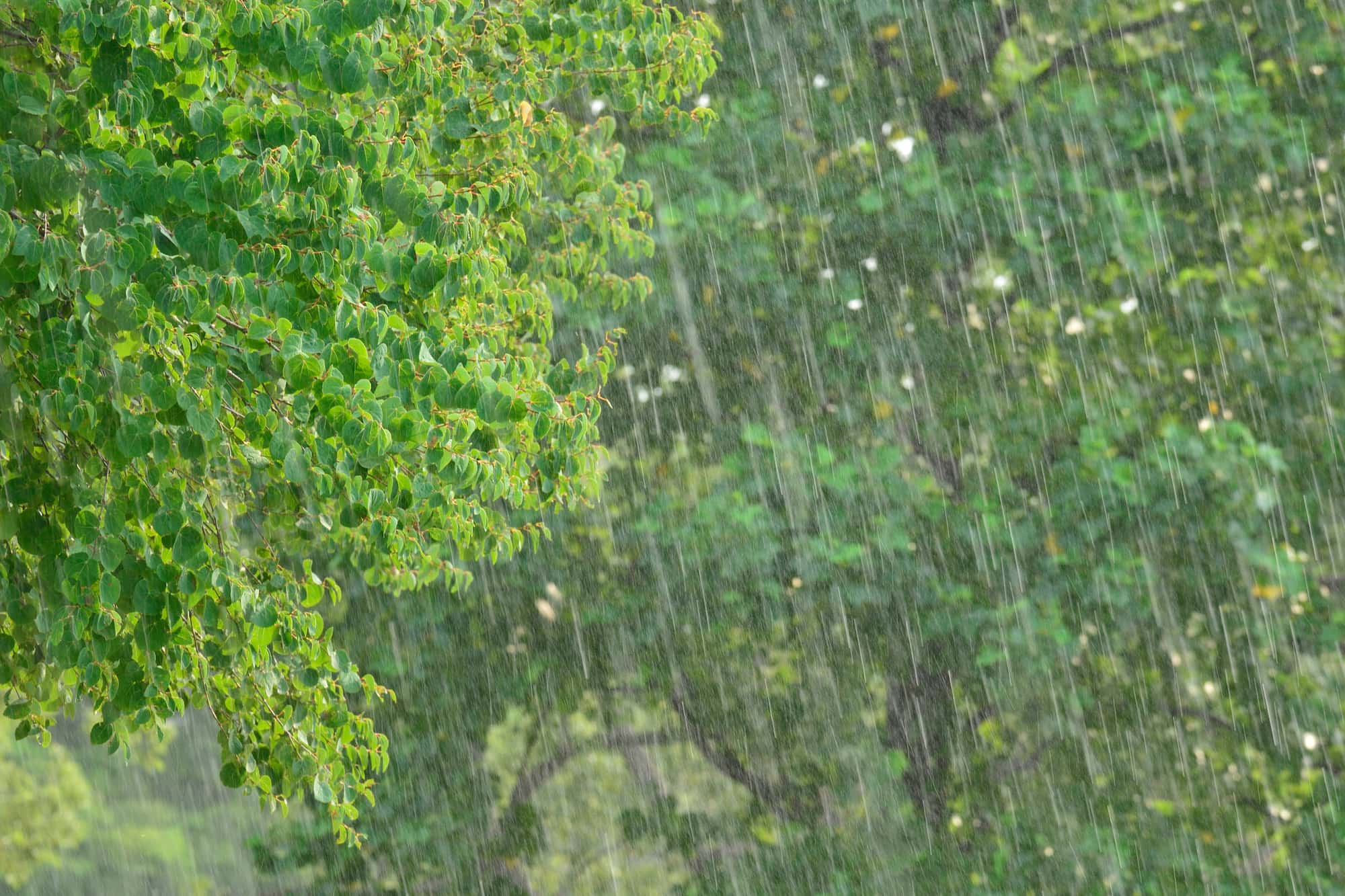 夏に氷が降る不思議 ひょう ができるメカニズム アマナとひらく 自然 科学 のトビラ Nature Science 夏に氷が降る不思議 ひょう ができるメカニズム アマナとひらく 自然 科学 のトビラ Nature Science