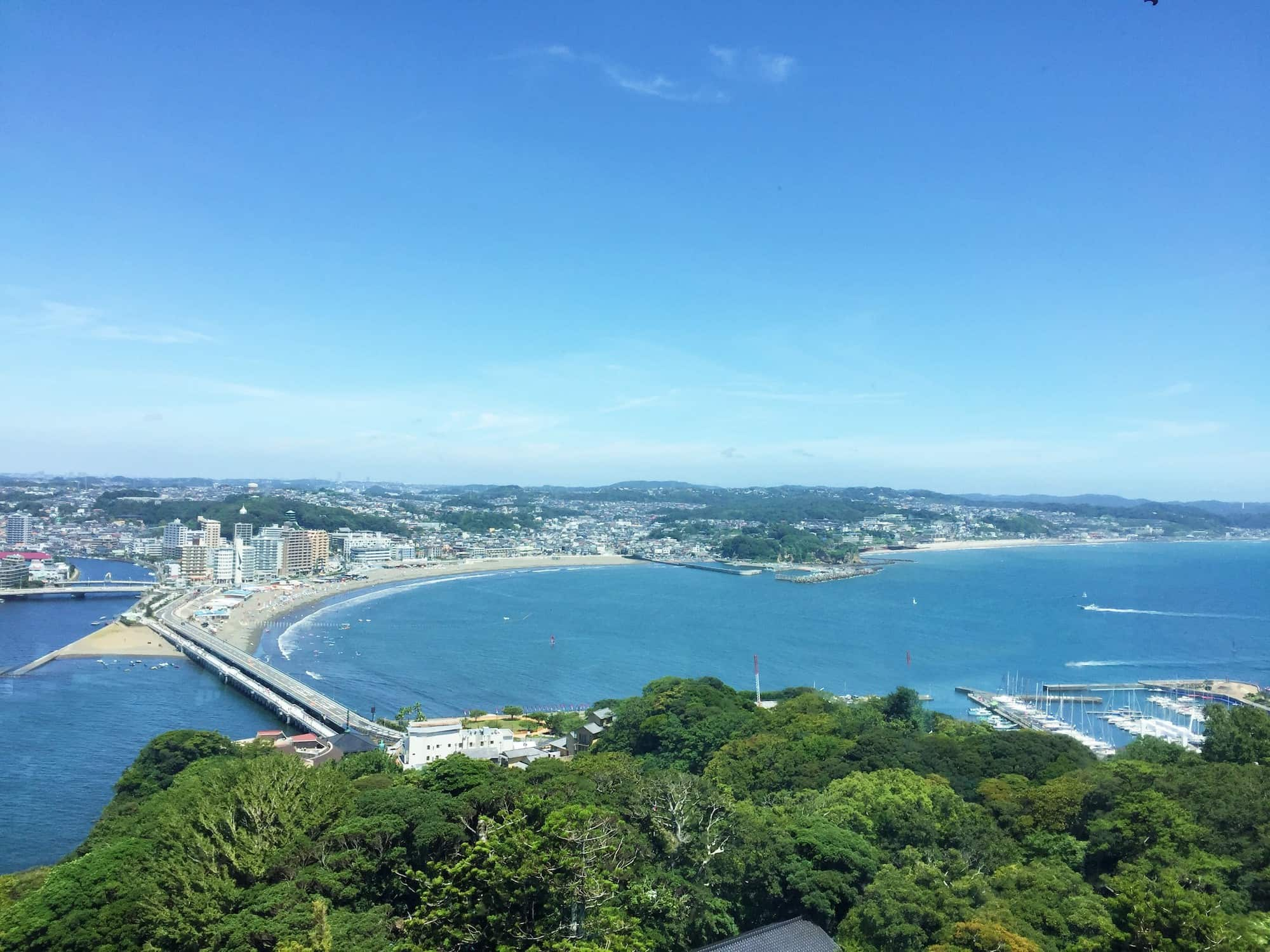 空想でめぐる江の島 ダイナミックな自然へ 花と自然の鎌倉さんぽ 8月 葉月 編 アマナとひらく 自然 科学 のトビラ Nature Science