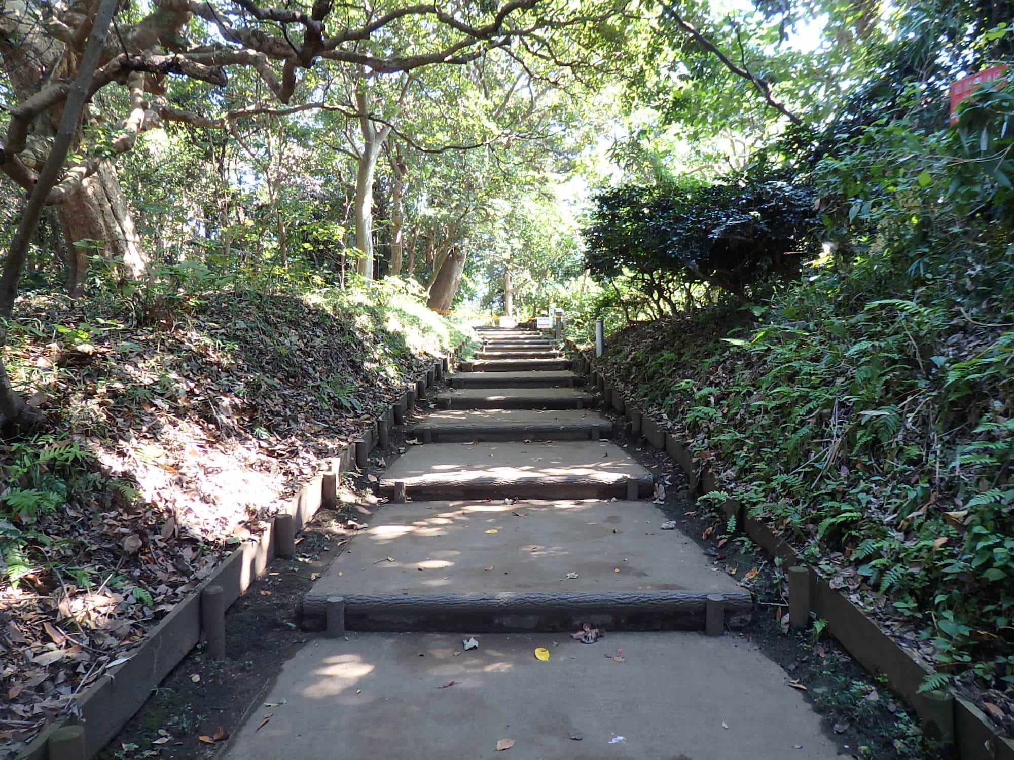 龍野ヶ岡自然の森は、昭和51年（1976年）ごろまで草原だったところに、潮風や塩害を防ぐため、スダジイやタブノキなどが植えられた。この道の奥に龍恋の鐘がある