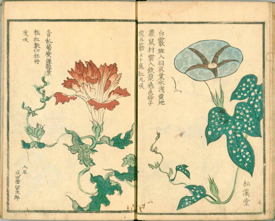 成田屋留次郎『三都一朝』（1854年）より 国立国会図書館所蔵