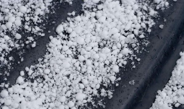 夏に氷が降る不思議