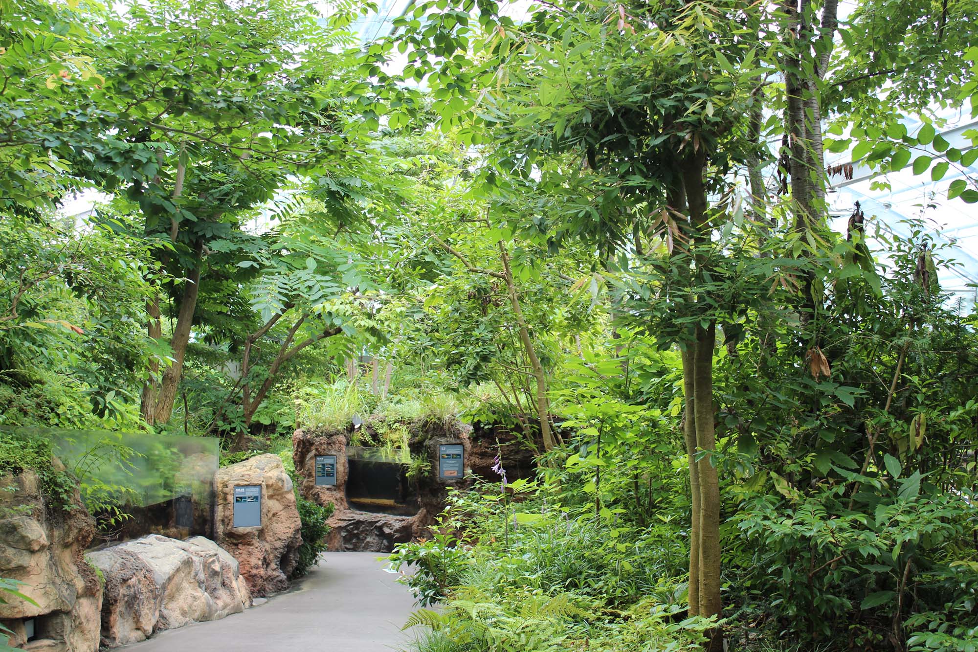 植物園と間違えそうなほどたくさんの植物が生えている「ふくしまの川と沿岸」コーナー