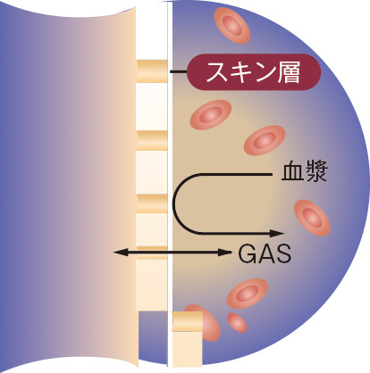 ホローファイバー型人工肺のしくみ。血しょうを通さないスキン層を設けることで、中空糸の膜面が目詰まりを起こさず、長時間にわたり効率よく均一な「血液—ガス交換」を可能にする（画像提供：テルモ株式会社）