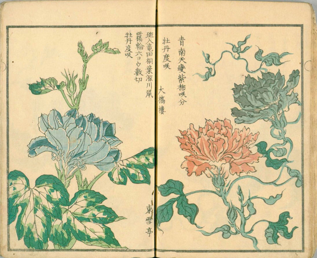 成田屋留次郎『三都一朝』（1854年）より 国立国会図書館所蔵