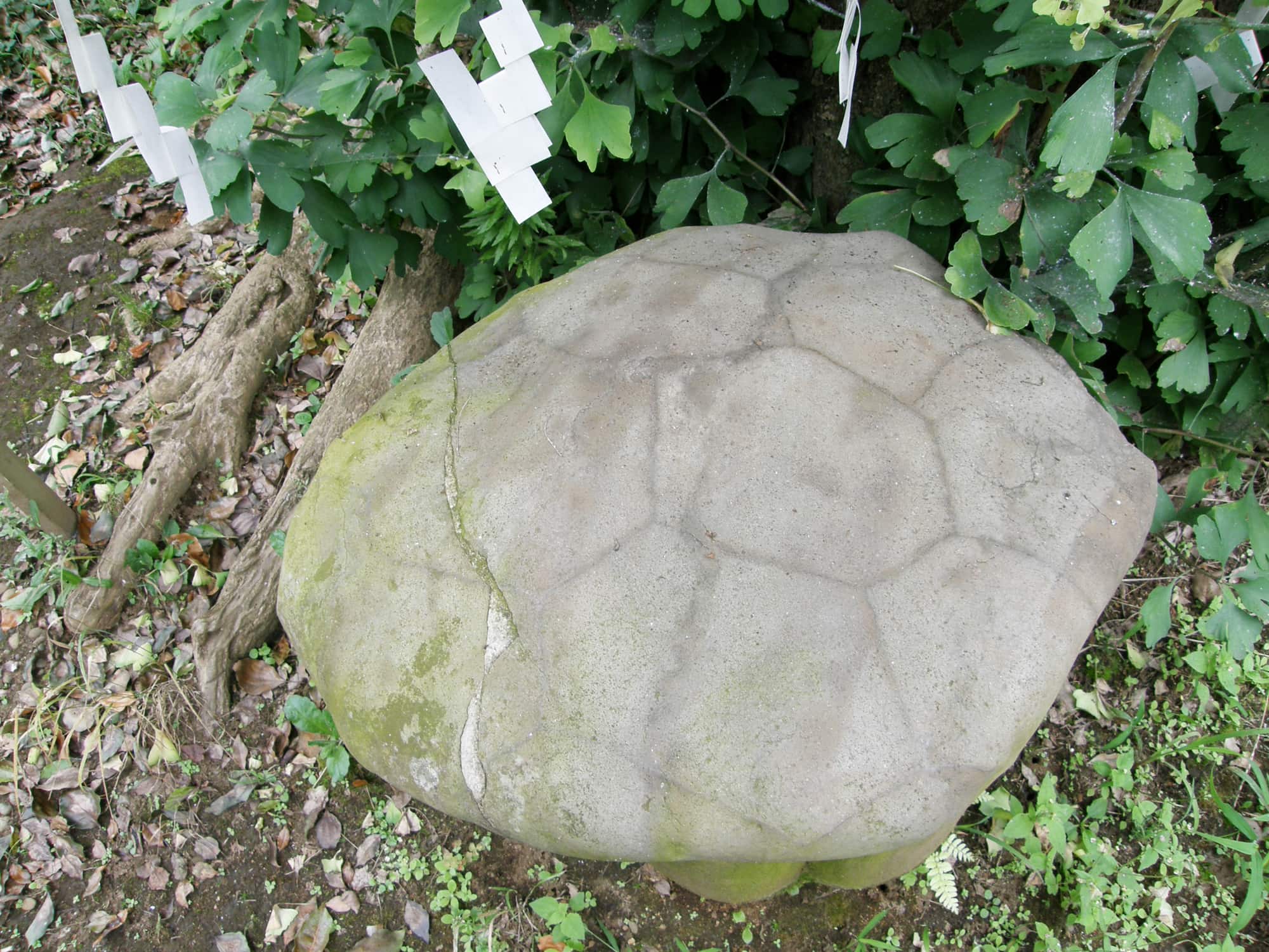 亀石。文化3年（1806年）、弁秀堂という人が弁財天を信奉して金光明最勝王経を写経し、ここへ納め上に置く石を探したところ、カメの形をした石を発見したので奉納したと伝わる