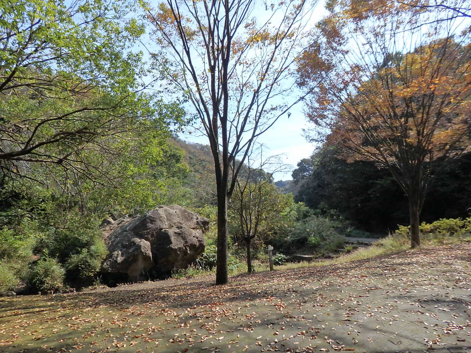 左手下に見えるのが「ししいし」。獅子舞の姿に似た大きな岩