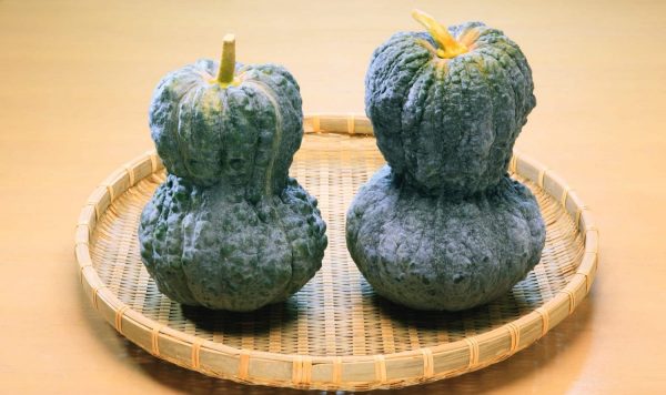 伝統野菜から考えるシードバンクの可能性