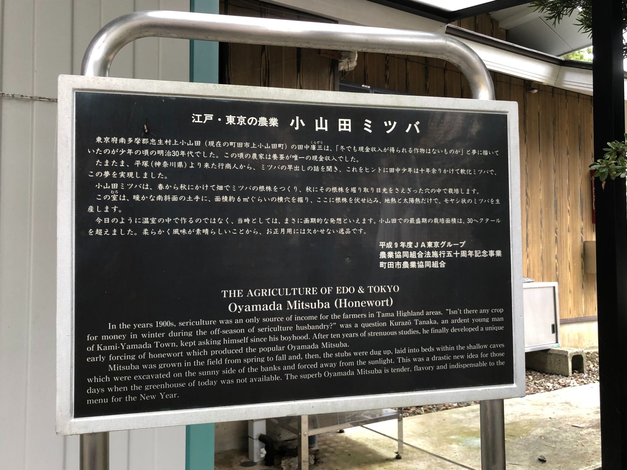 東京・町田市、神明神社の「小山田ミツバ」の説明板 （撮影：田中いつき）