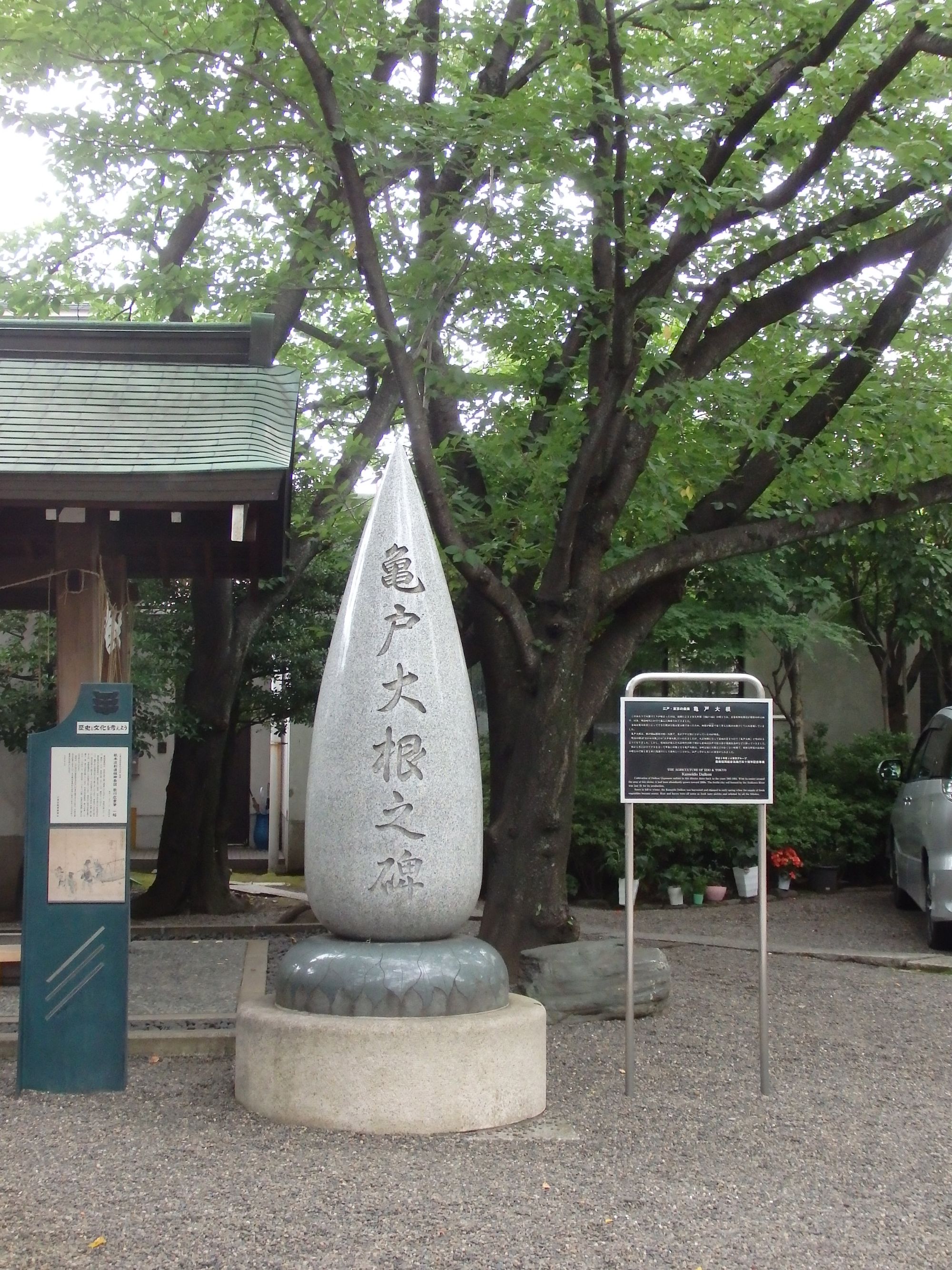 立派な亀戸大根之碑 （写真提供：大竹道茂さん）