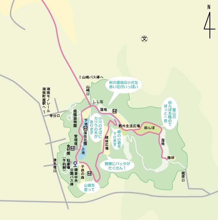 今回のさんぽ道