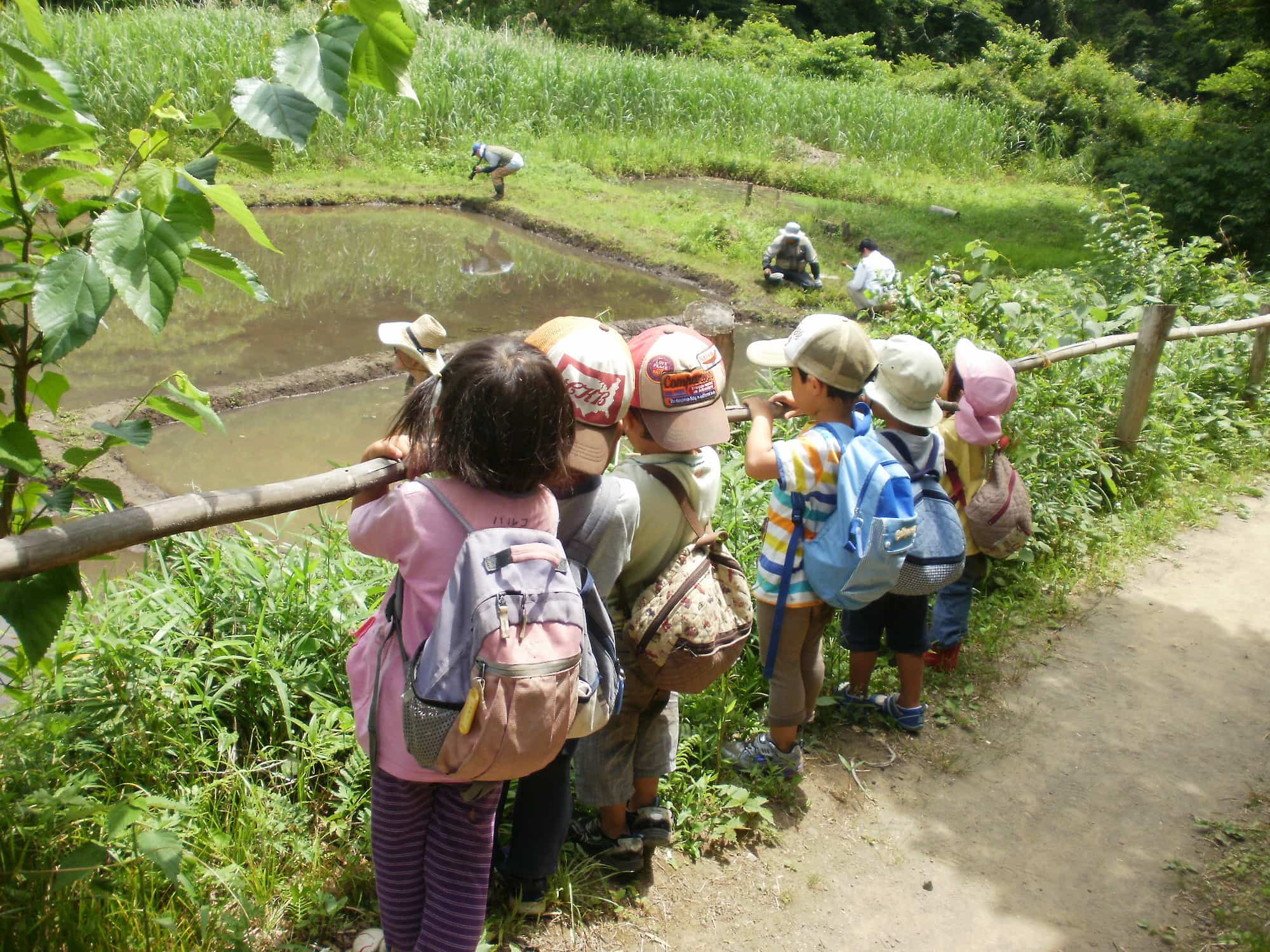 田んぼを見つめる子どもたちの瞳に、どんな原風景が刻まれていくことでしょう