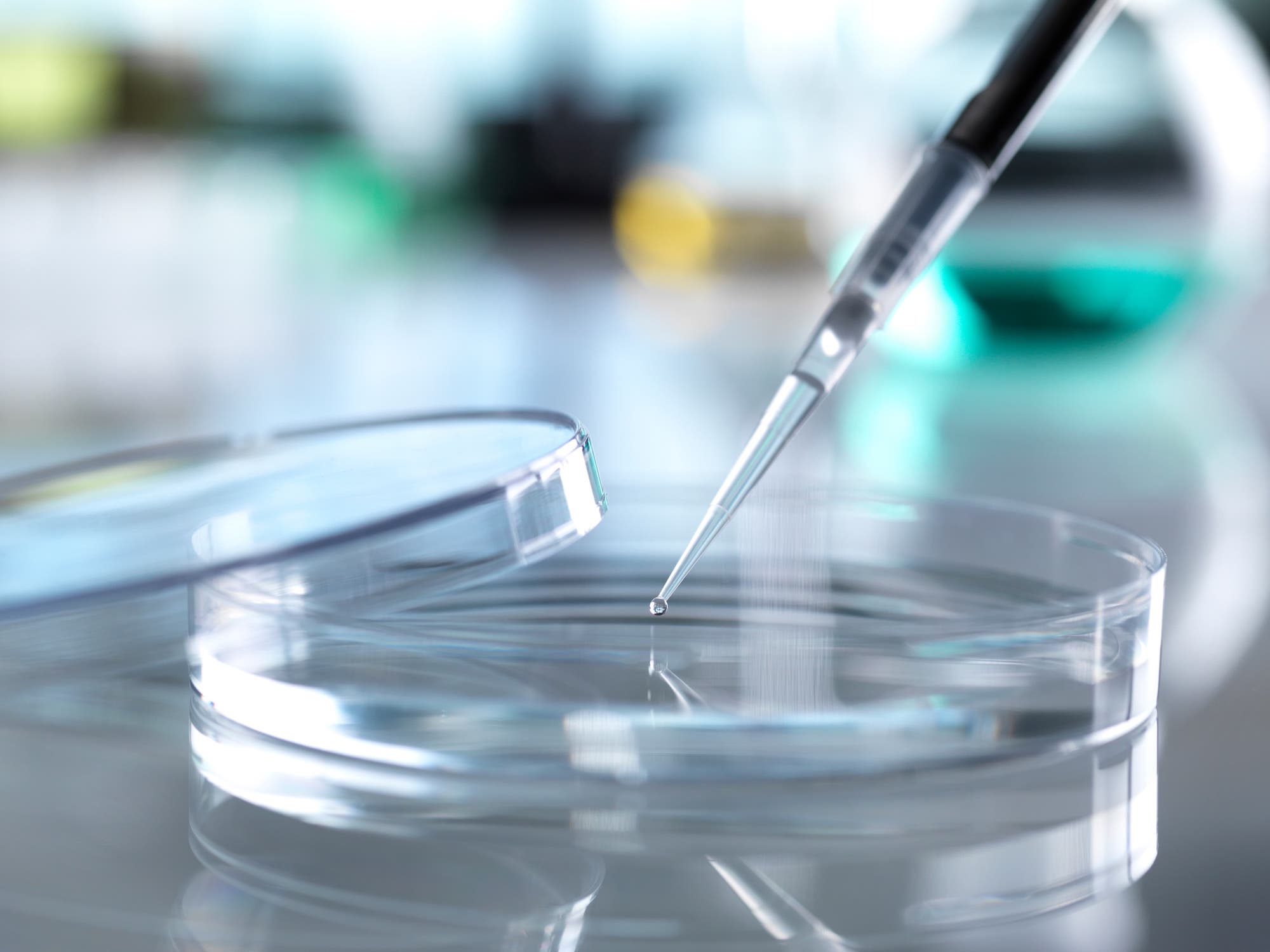 ©︎ Andrew Brookes/Cultura/Image Source RF /amanaimages