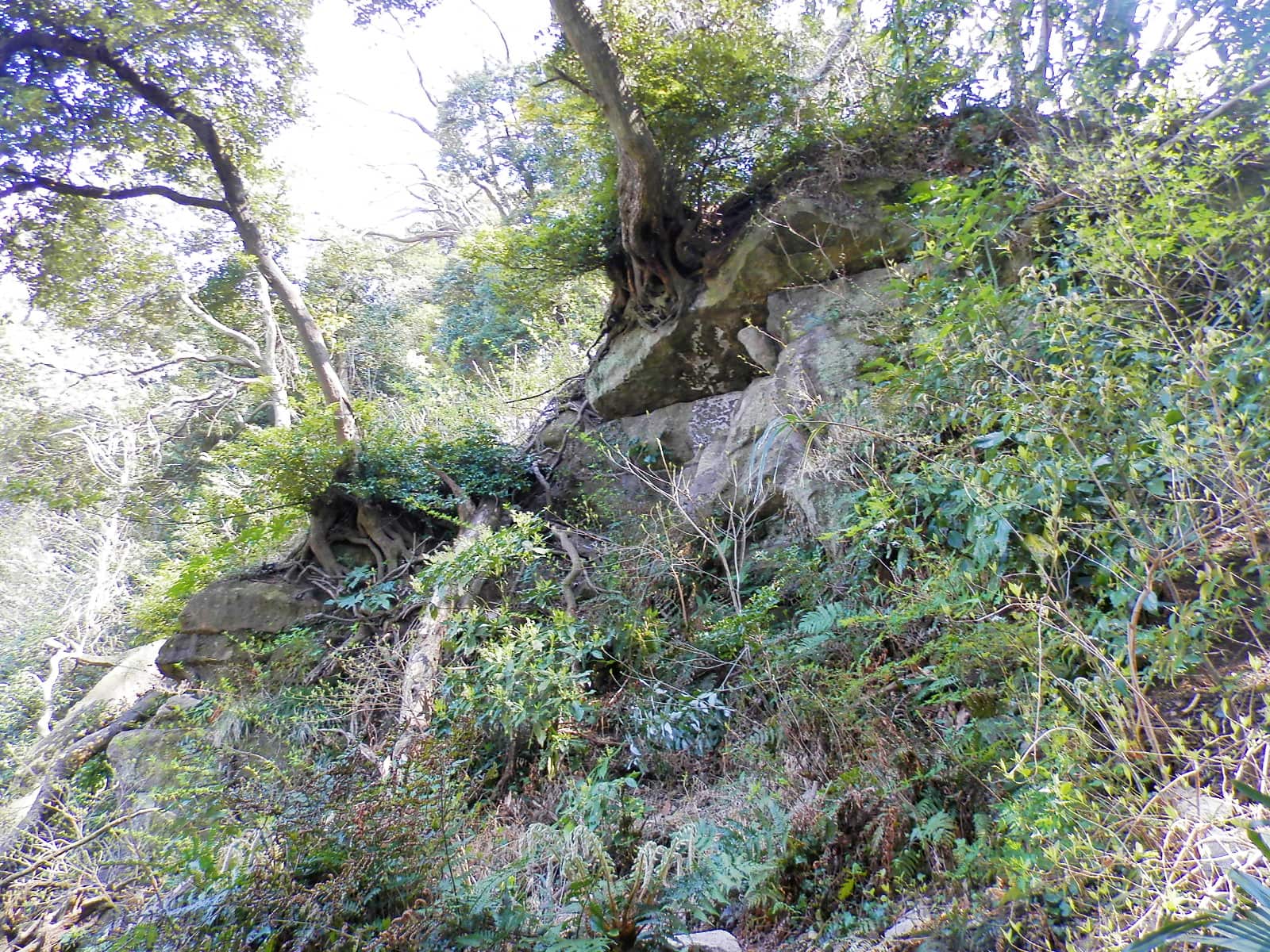 石切り場跡。ここから少し展望が開け、鎌倉山方面が見える