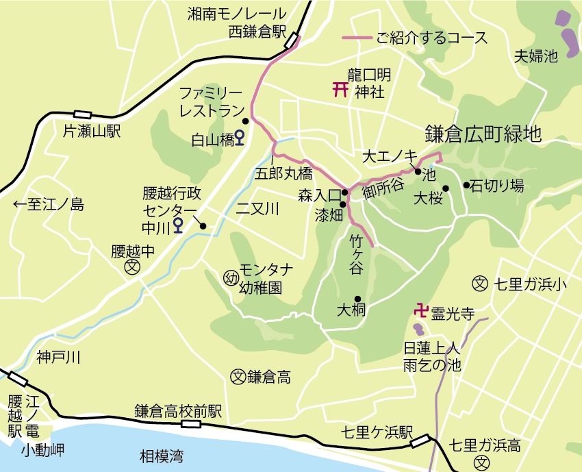 今回のさんぽ道