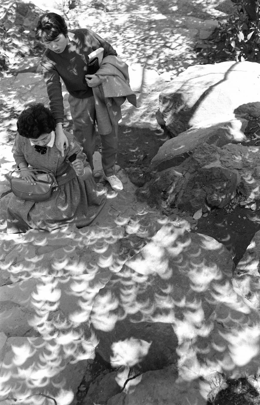 太陽が三日月形に欠ける部分日食では、木漏れ日を通した日食の影もすべて三日月形になる ©︎ 共同通信社/アマナイメージズ