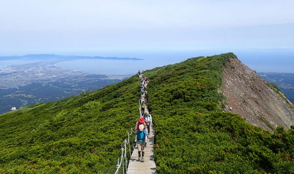 NATURE & SCIENCEが手掛けた仕事｜国立公園満喫プロジェクト