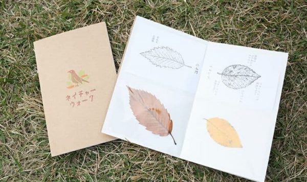 NATURE & SCIENCEが手掛けた仕事｜アールビーズ『ネイチャーウォーク』