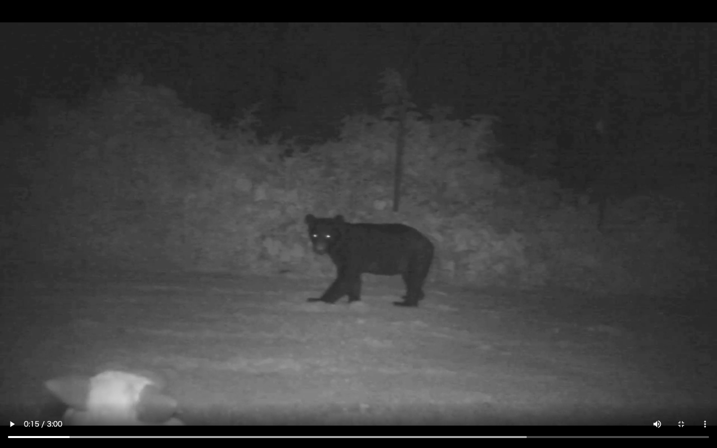 太田精器の鳥獣忌避装置検証VTR（http://www.ohtaseiki.co.jp/led/）から。モンスターウルフがクマを山へ追い返している