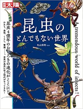 ネイチャー＆サイエンスが手掛けた仕事｜平凡社『昆虫のとんでもない世界』