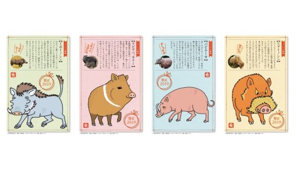 ネイチャー＆サイエンスが手掛けた仕事｜日本郵便 『いきものだより年賀状』