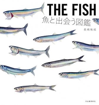 ネイチャー＆サイエンスが手掛けた仕事｜河出書房新社『THE FISH　魚と出会う図鑑』