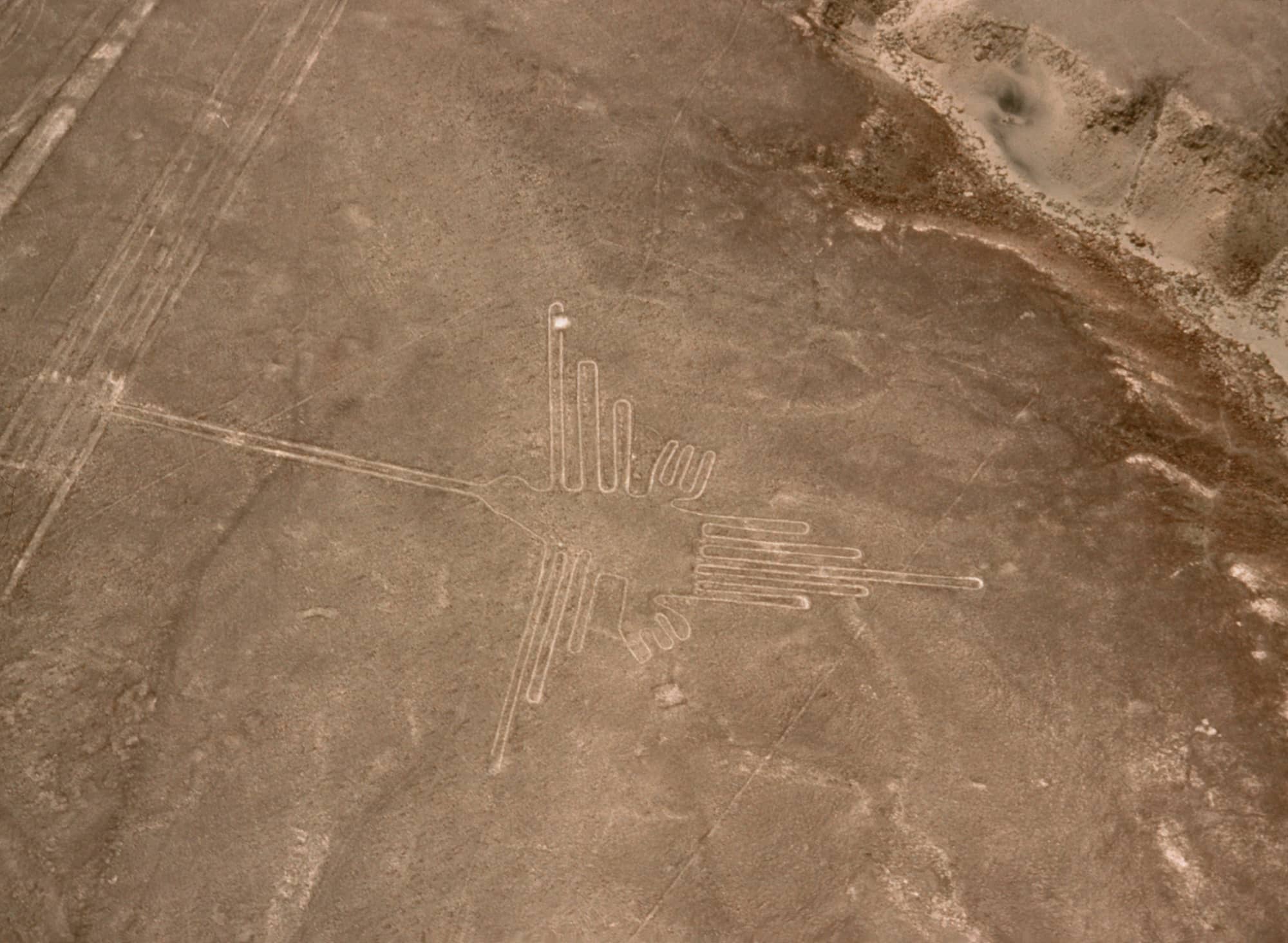 全長95 m あるハチドリの地上絵と、地上から見た線。北海道大総合博物館などの研究グループは地上絵のうち鳥の絵16点を、鳥類学上の特徴から10年近くかけて分析。2点が海岸などに生息するペリカン類、1点が南米の森林地帯に生息するカギハシハチドリ類であると2019年6月に発表した。ペルー南部の砂漠台地にあるナスカ周辺にはいずれもいなかったであろう種類であり、制作目的について謎が深まった ©︎ GYRO PHOTOGRAPHY/a.collectionRF/amanaimages ©︎ Science Photo Library/amanaimages