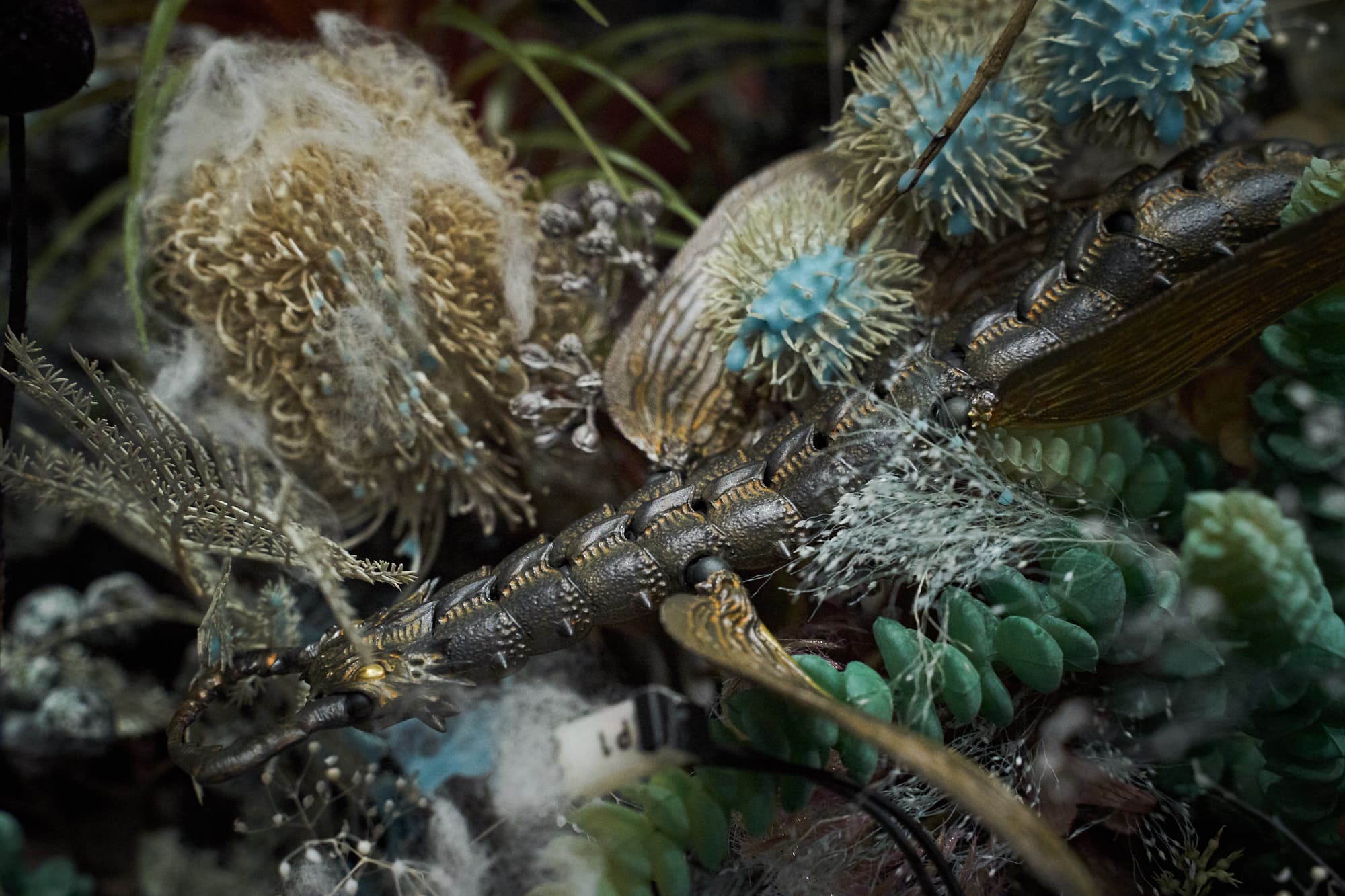 ©︎ Studio Ghibli © 竹谷隆之・山口隆／KAIYODO